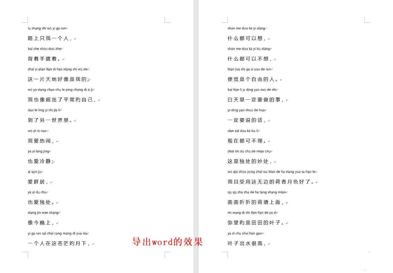 汉字转拼音v1.0 支持导出excel word小工具